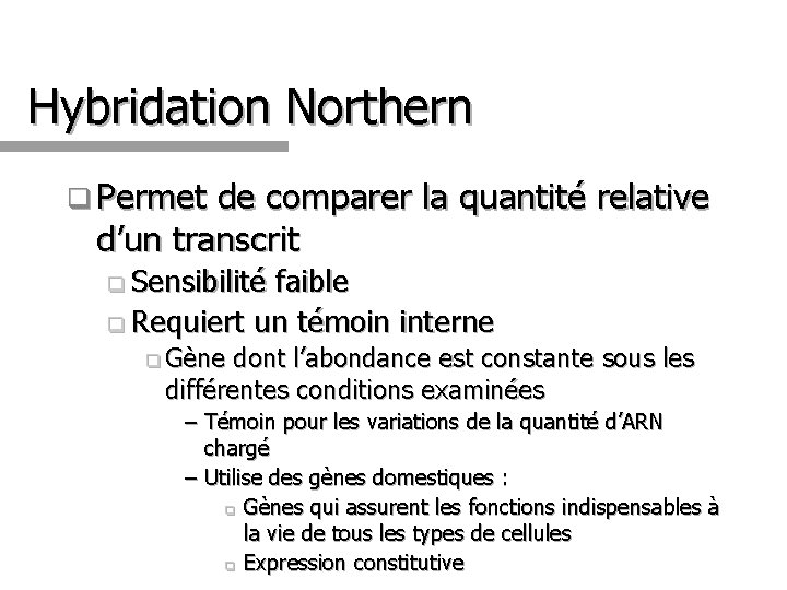 Hybridation Northern q Permet de comparer la quantité relative d’un transcrit q Sensibilité faible