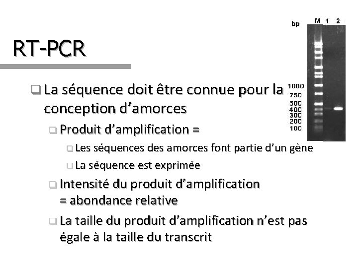 RT-PCR q La séquence doit être connue pour la conception d’amorces q Produit d’amplification