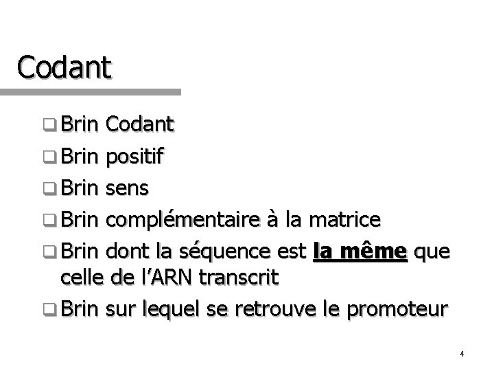 Codant q Brin positif q Brin sens q Brin complémentaire à la matrice q