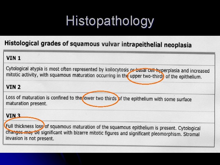 Histopathology l Table 2 