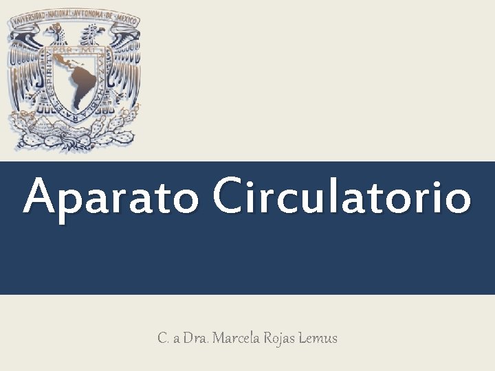 Aparato Circulatorio C. a Dra. Marcela Rojas Lemus Aparato Circulatorio C. a Dra. Marcela Rojas Lemus