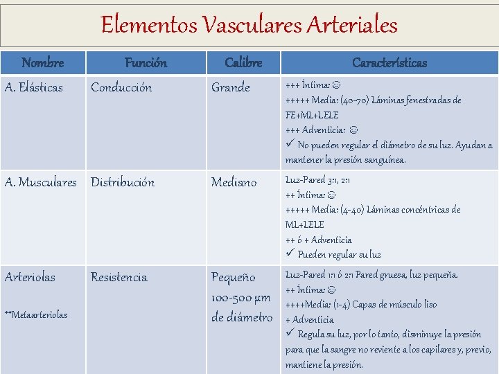 Elementos Vasculares Arteriales Nombre A. Elásticas Función Conducción Calibre Grande Características +++ Íntima: ☺ Elementos Vasculares Arteriales Nombre A. Elásticas Función Conducción Calibre Grande Características +++ Íntima: ☺