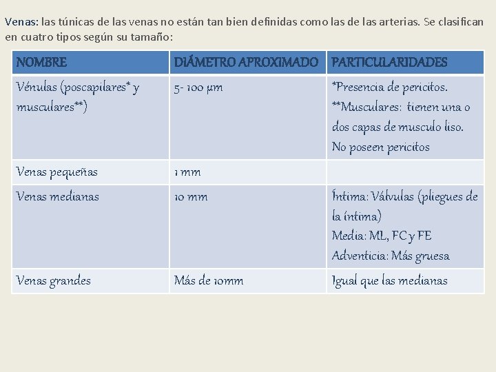 Venas: las túnicas de las venas no están tan bien definidas como las de Venas: las túnicas de las venas no están tan bien definidas como las de