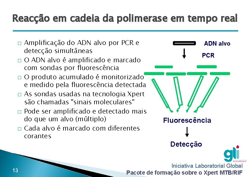 Reacção em cadeia da polimerase em tempo real � � � -13 - Amplificação