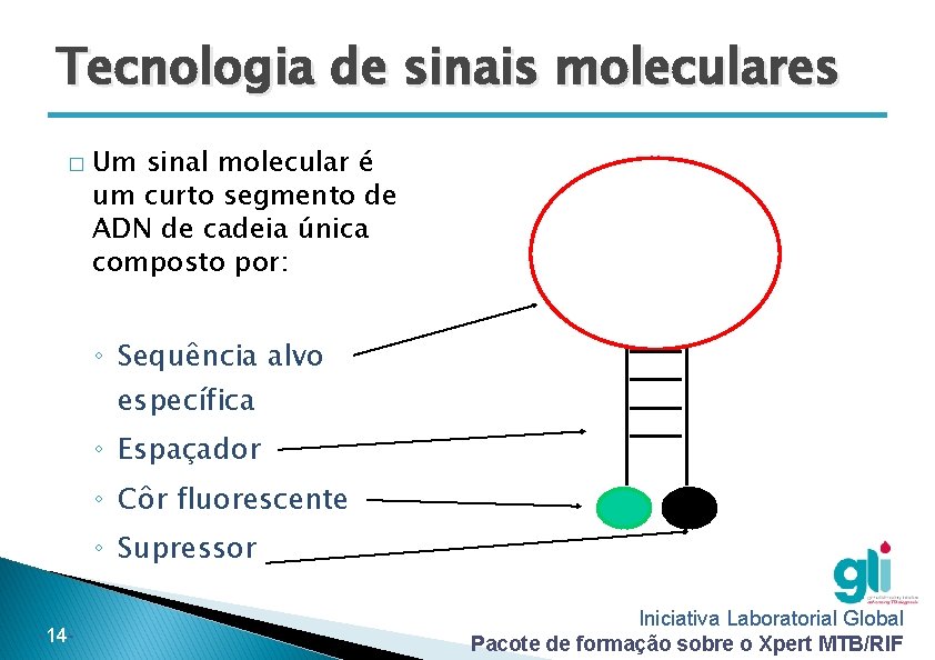 Tecnologia de sinais moleculares � Um sinal molecular é um curto segmento de ADN