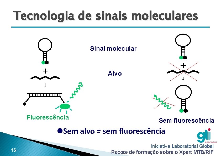 Tecnologia de sinais moleculares Sinal molecular Alvo Fluorescência Sem fluorescência Sem alvo = sem