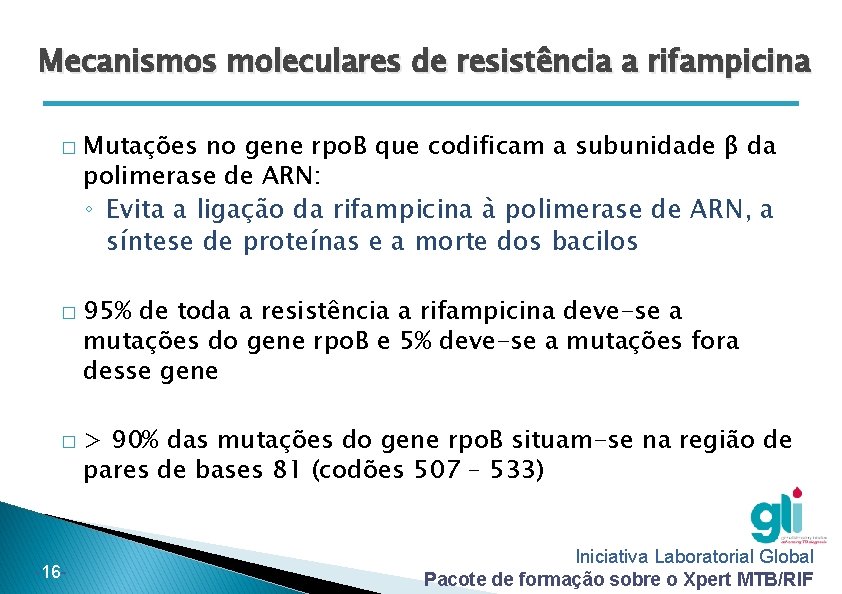 Mecanismos moleculares de resistência a rifampicina � � � -16 - Mutações no gene
