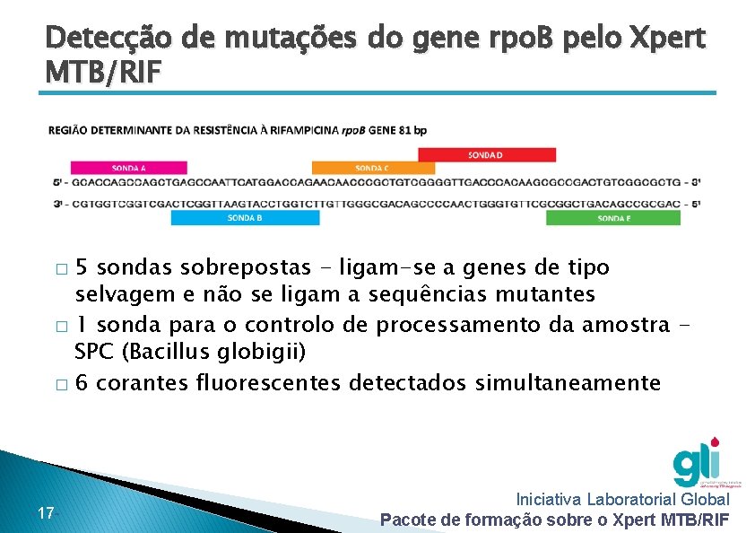 Detecção de mutações do gene rpo. B pelo Xpert MTB/RIF 5 sondas sobrepostas -