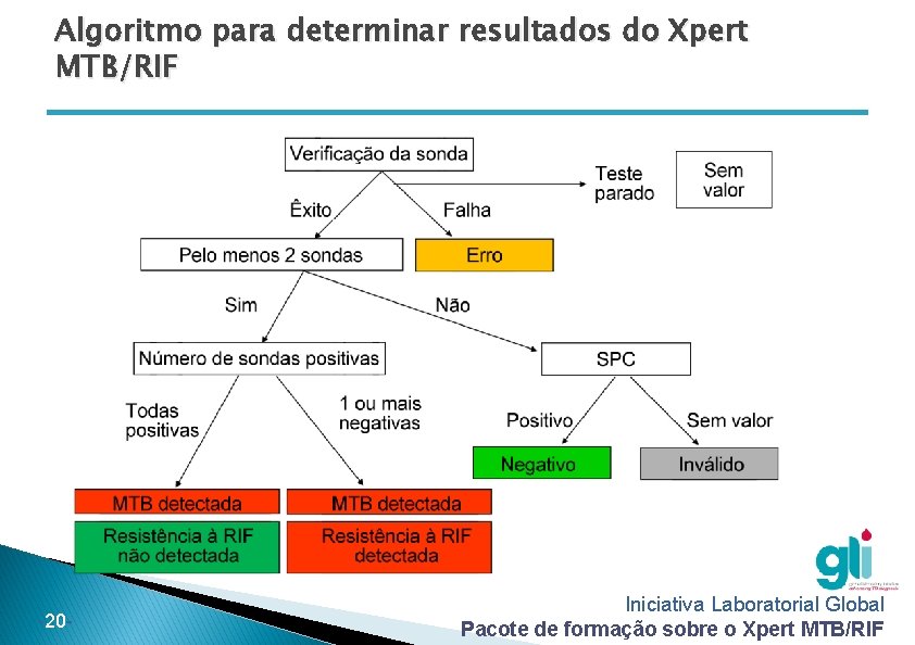 Algoritmo para determinar resultados do Xpert MTB/RIF -20 - Iniciativa Laboratorial Global Pacote de
