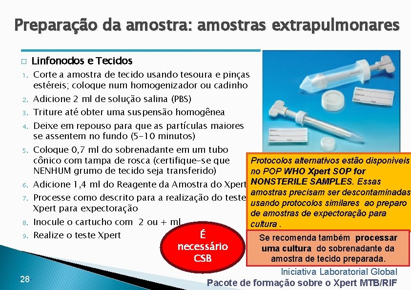 Preparação da amostra: amostras extrapulmonares � Linfonodos e Tecidos 1. 2. 3. 4. 5.