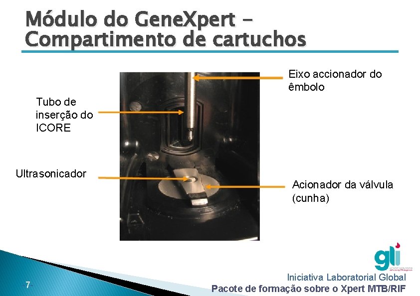 Módulo do Gene. Xpert Compartimento de cartuchos Eixo accionador do êmbolo Tubo de inserção