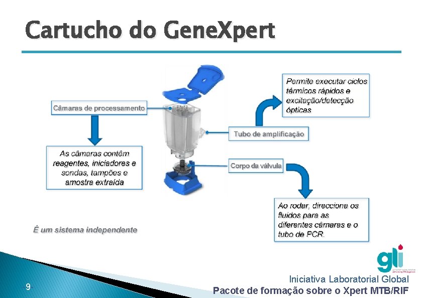 Cartucho do Gene. Xpert -9 - Iniciativa Laboratorial Global Pacote de formação sobre o