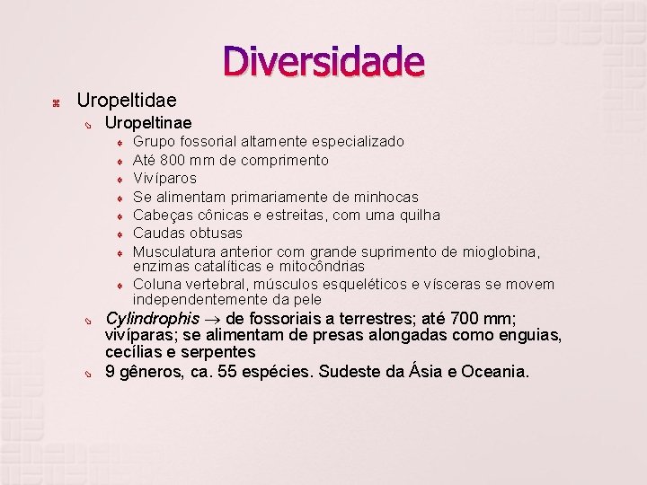 Diversidade Uropeltidae Uropeltinae Y Y Y Y Grupo fossorial altamente especializado Até 800 mm