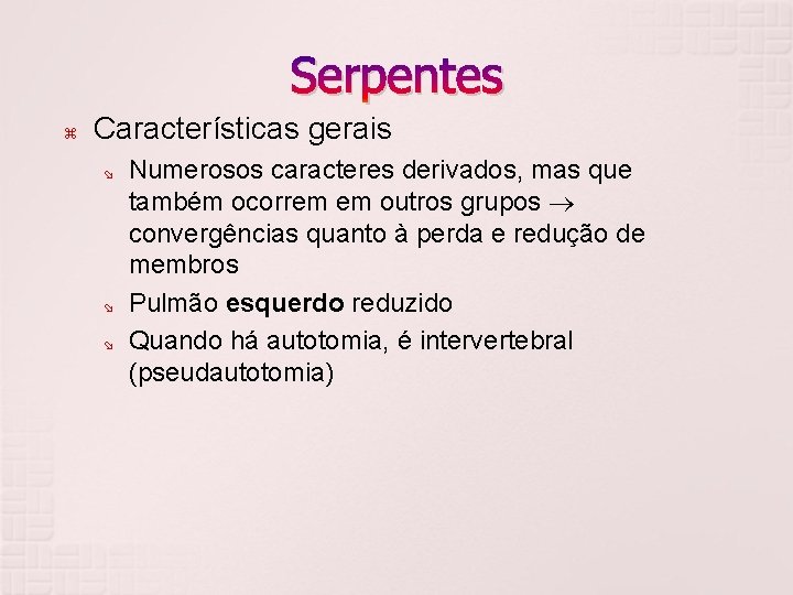 Serpentes Características gerais Numerosos caracteres derivados, mas que também ocorrem em outros grupos convergências