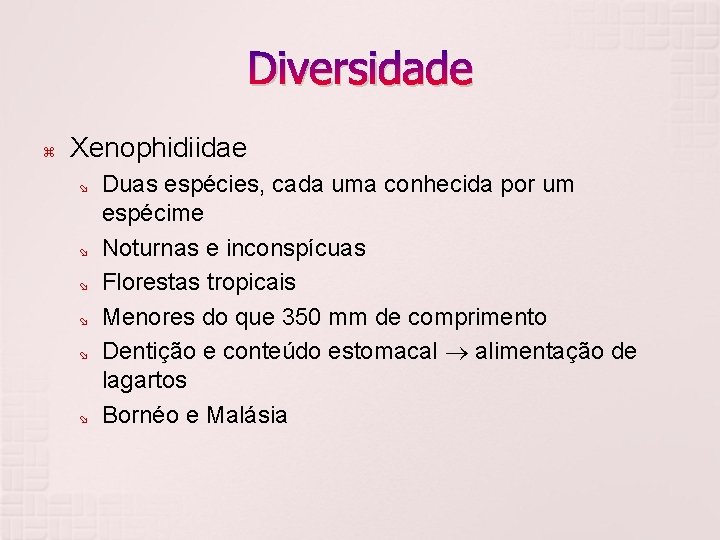 Diversidade Xenophidiidae Duas espécies, cada uma conhecida por um espécime Noturnas e inconspícuas Florestas