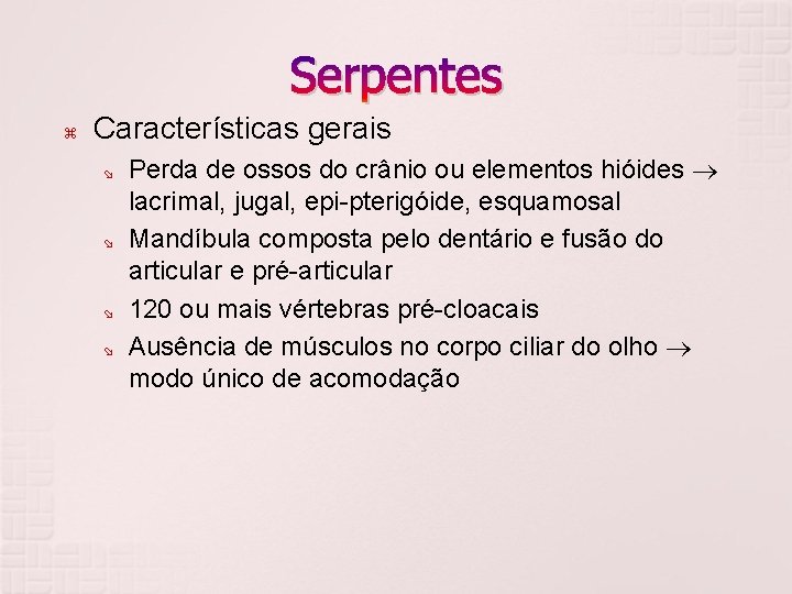 Serpentes Características gerais Perda de ossos do crânio ou elementos hióides lacrimal, jugal, epi-pterigóide,