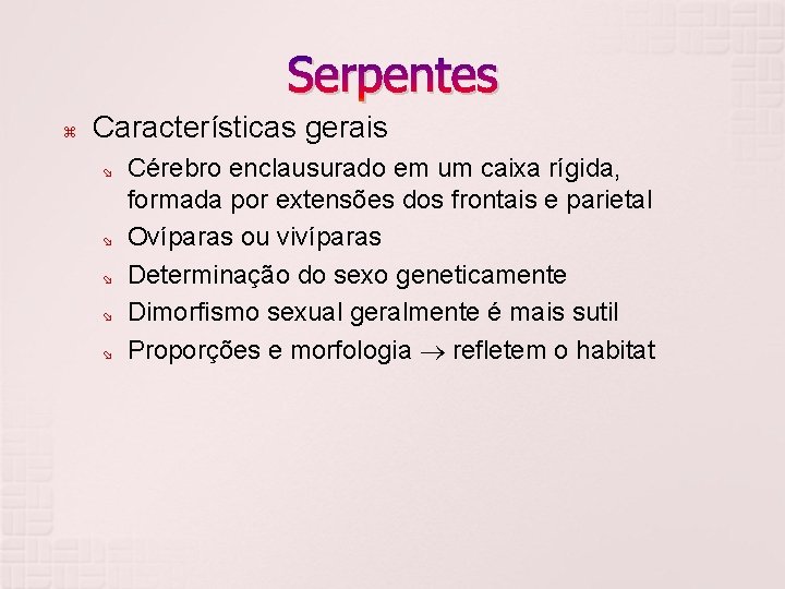 Serpentes Características gerais Cérebro enclausurado em um caixa rígida, formada por extensões dos frontais