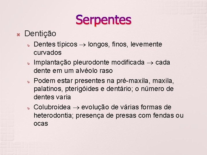 Serpentes Dentição Dentes típicos longos, finos, levemente curvados Implantação pleurodonte modificada dente em um