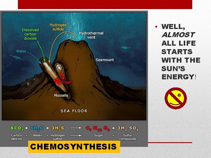  • WELL, ALMOST ALL LIFE STARTS WITH THE SUN’S ENERGY! CHEMOSYNTHESIS 