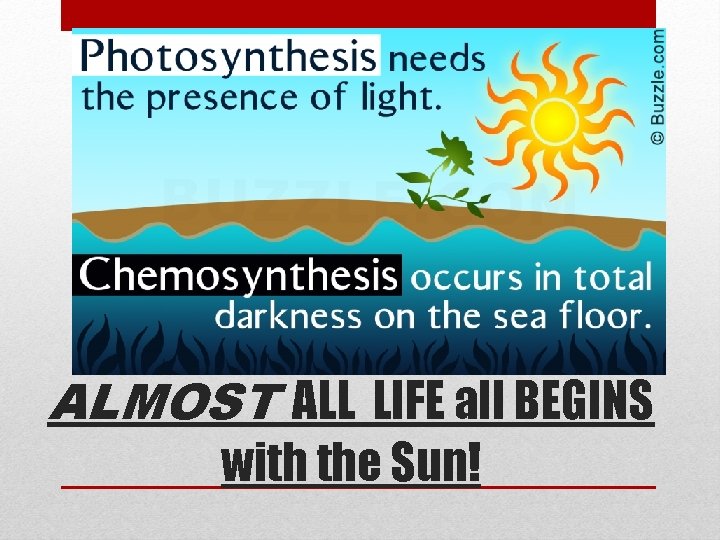 ALMOST ALL LIFE all BEGINS with the Sun! 