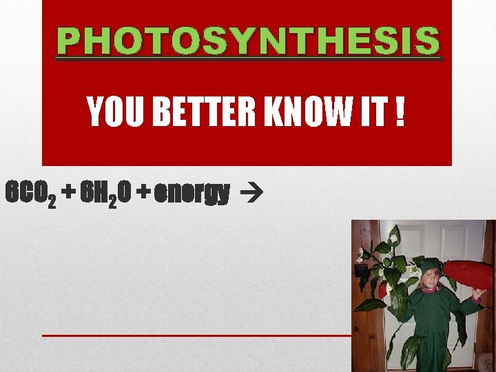 PHOTOSYNTHESIS YOU BETTER KNOW IT ! 6 CO 2 + 6 H 2 O
