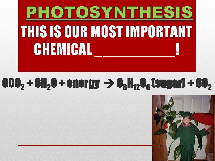 PHOTOSYNTHESIS THIS IS OUR MOST IMPORTANT CHEMICAL _____! 6 CO 2 + 6 H