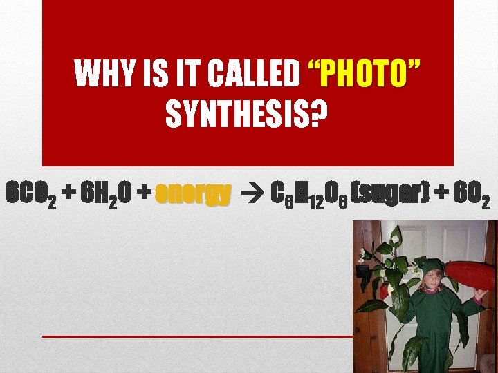 WHY IS IT CALLED “PHOTO” SYNTHESIS? 6 CO 2 + 6 H 2 O