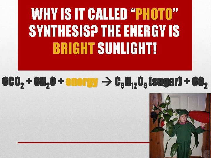 WHY IS IT CALLED “PHOTO” PHOTO SYNTHESIS? THE ENERGY IS BRIGHT SUNLIGHT! 6 CO