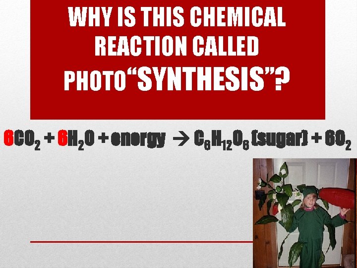WHY IS THIS CHEMICAL REACTION CALLED PHOTO“SYNTHESIS”? 6 CO 2 + 6 H 2