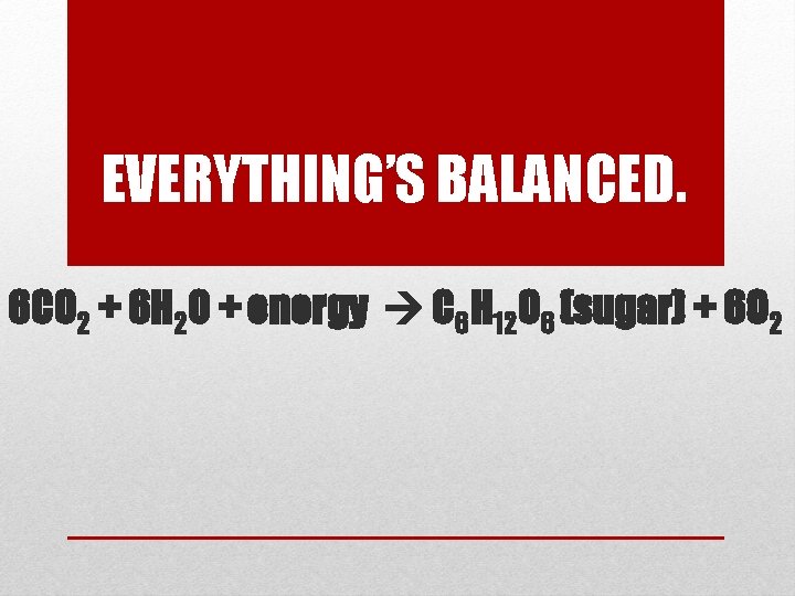 EVERYTHING’S BALANCED. 6 CO 2 + 6 H 2 O + energy C 6
