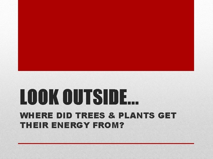 LOOK OUTSIDE… WHERE DID TREES & PLANTS GET THEIR ENERGY FROM? 
