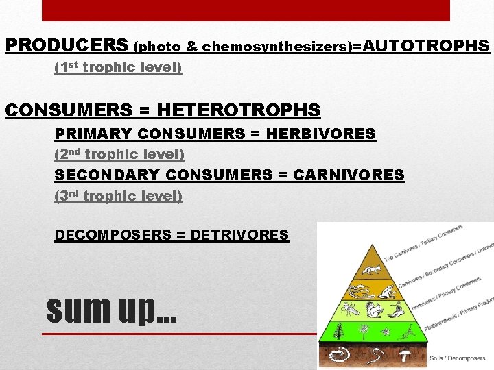 PRODUCERS (photo & chemosynthesizers)=AUTOTROPHS (1 st trophic level) CONSUMERS = HETEROTROPHS PRIMARY CONSUMERS =