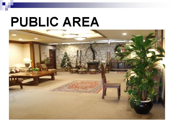 PUBLIC AREA 