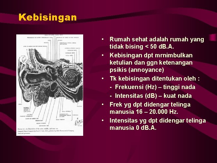 Kebisingan • Rumah sehat adalah rumah yang tidak bising < 50 d. B. A.