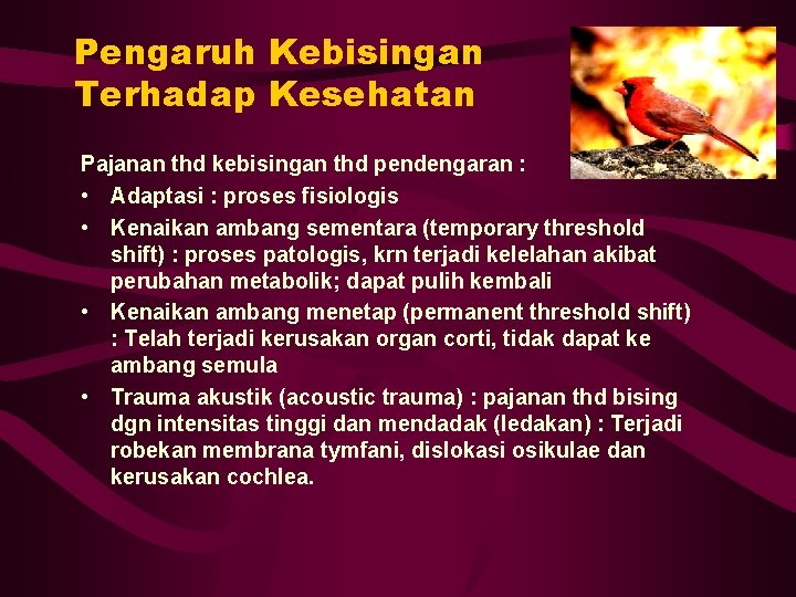 Pengaruh Kebisingan Terhadap Kesehatan Pajanan thd kebisingan thd pendengaran : • Adaptasi : proses