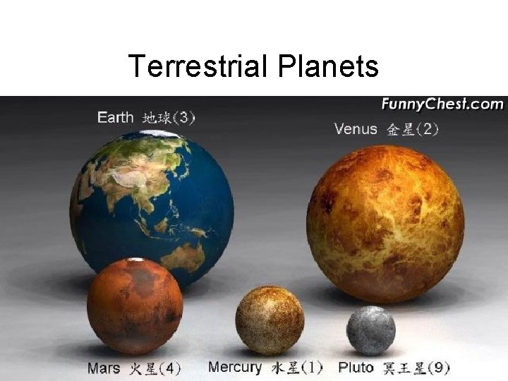 Terrestrial Planets 