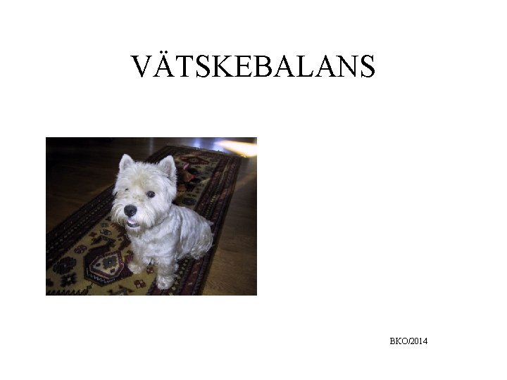 VÄTSKEBALANS BKO/2014 