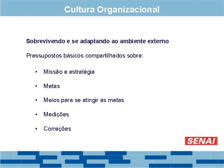 Cultura Organizacional Sobrevivendo e se adaptando ao ambiente externo Pressupostos básicos compartilhados sobre: •