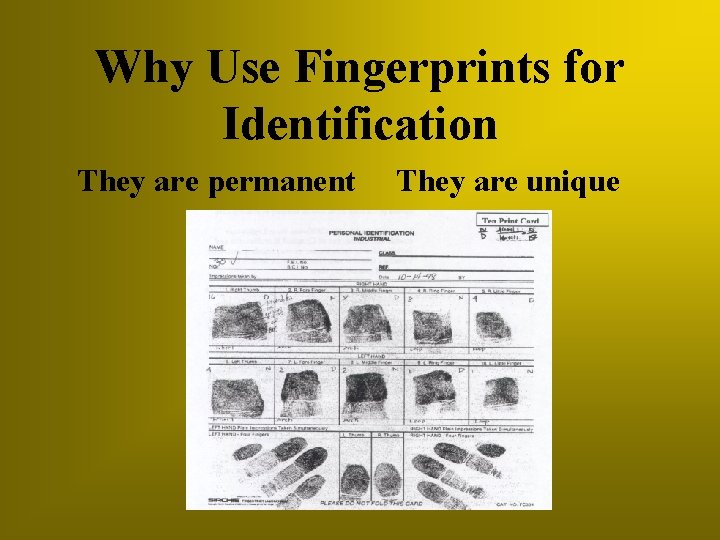 Why Use Fingerprints for Identification They are permanent They are unique 