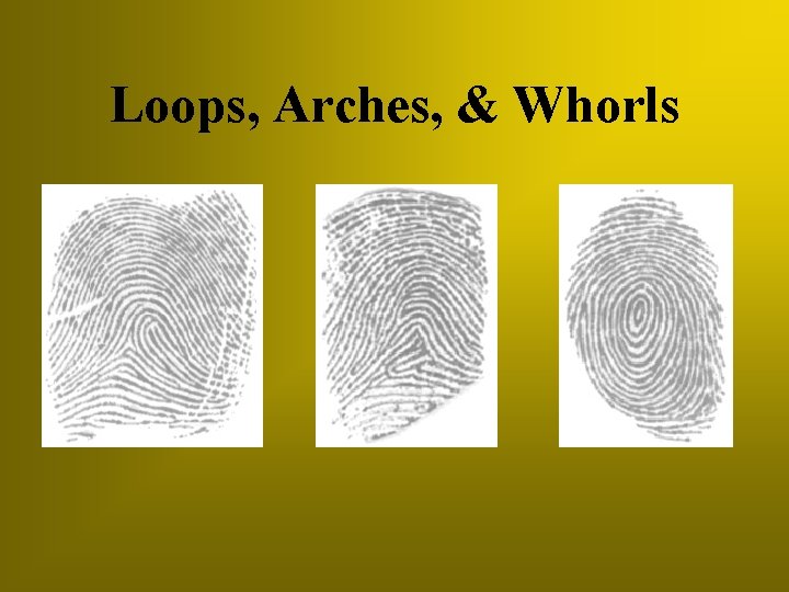 Loops, Arches, & Whorls 