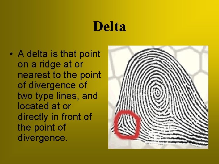 Delta • A delta is that point on a ridge at or nearest to