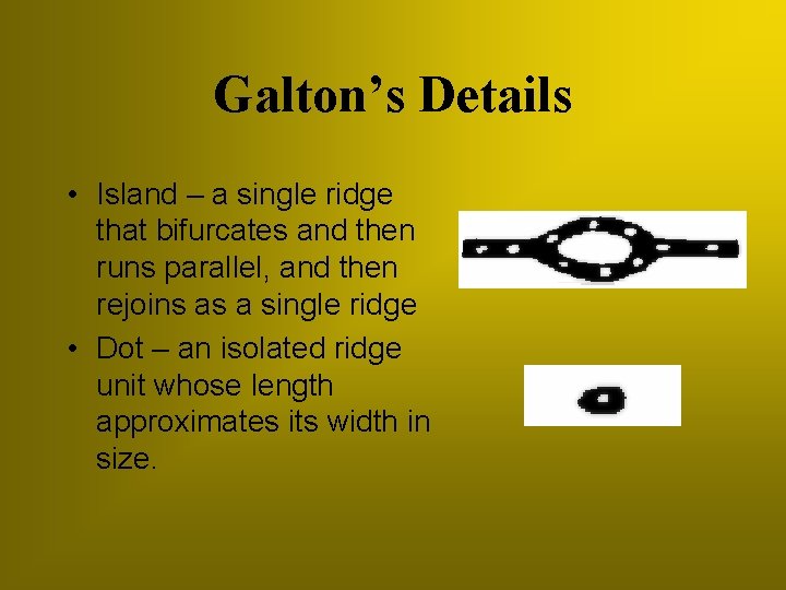 Galton’s Details • Island – a single ridge that bifurcates and then runs parallel,