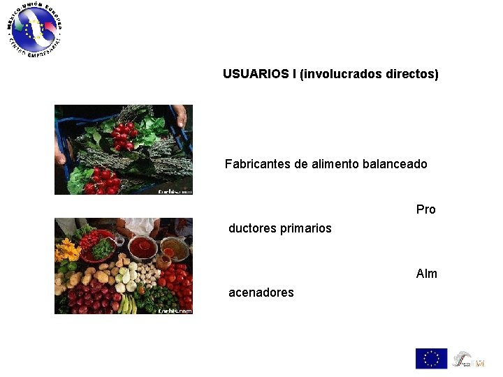 USUARIOS I (involucrados directos) Fabricantes de alimento balanceado Pro ductores primarios Alm acenadores 