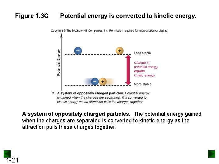 Figure 1. 3 C Potential energy is converted to kinetic energy. A system of