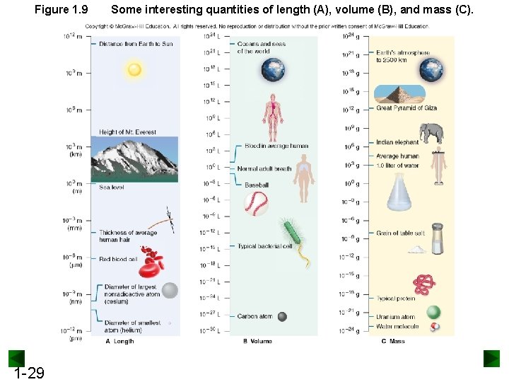 Figure 1. 9 1 -29 Some interesting quantities of length (A), volume (B), and