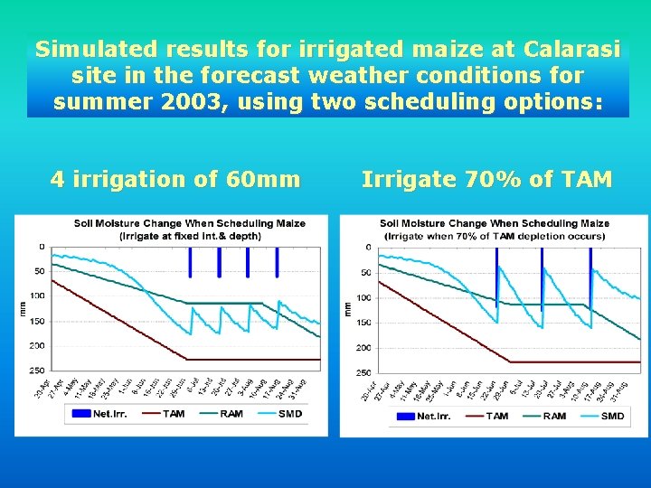 Simulated results for irrigated maize at Calarasi site in the forecast weather conditions for
