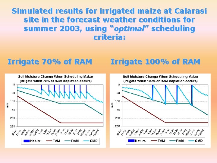 Simulated results for irrigated maize at Calarasi site in the forecast weather conditions for