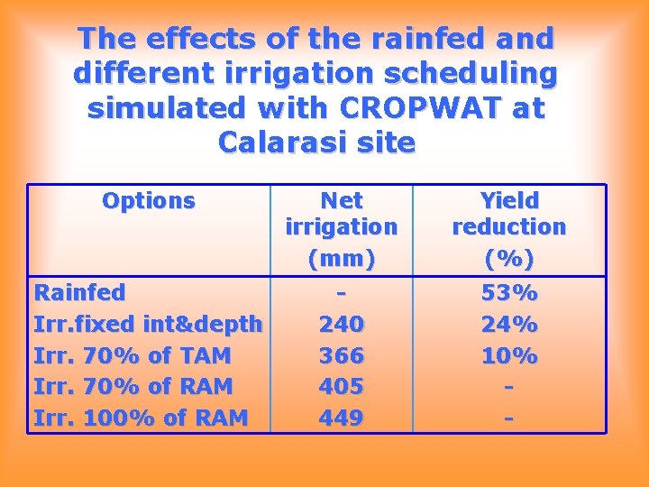 The effects of the rainfed and different irrigation scheduling simulated with CROPWAT at Calarasi