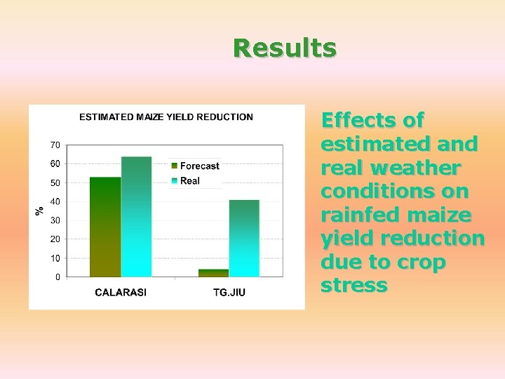 Results Effects of estimated and real weather conditions on rainfed maize yield reduction due