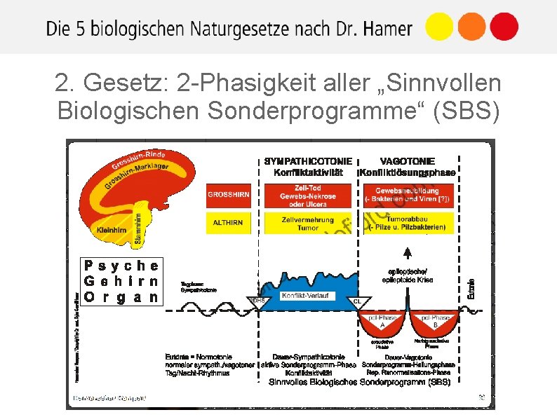 2. Gesetz: 2 -Phasigkeit aller „Sinnvollen Biologischen Sonderprogramme“ (SBS) 1. ) Der Konfliktschock (DHS):